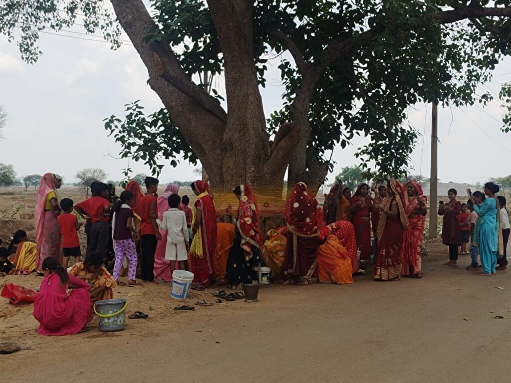 बिलाईगढ़ : वट सावित्री पर्व व्रत रखकर महिलाओं अपने सुहाग की लंबी उम्र की कामना…